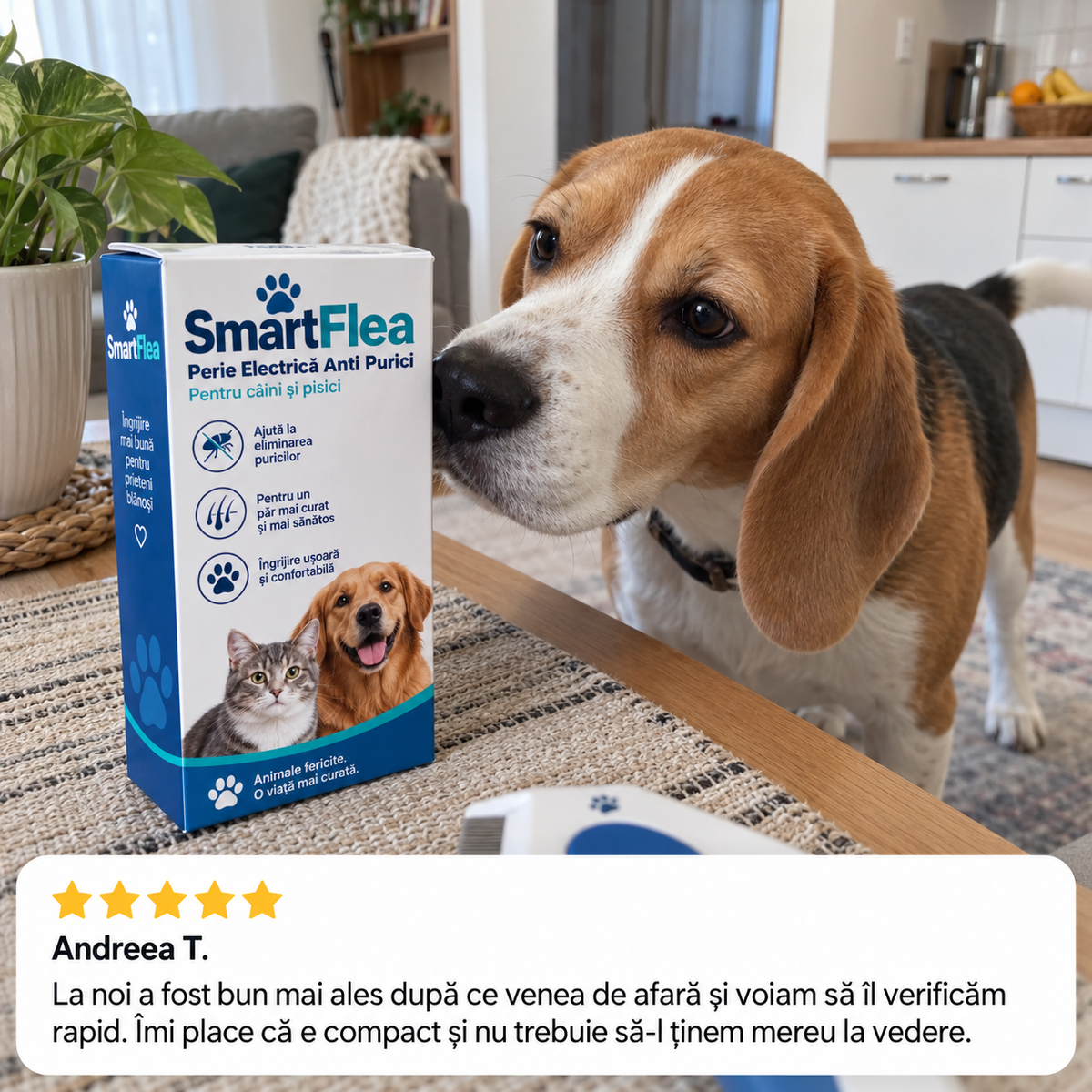 Recenzie SmartFlea cu beagle