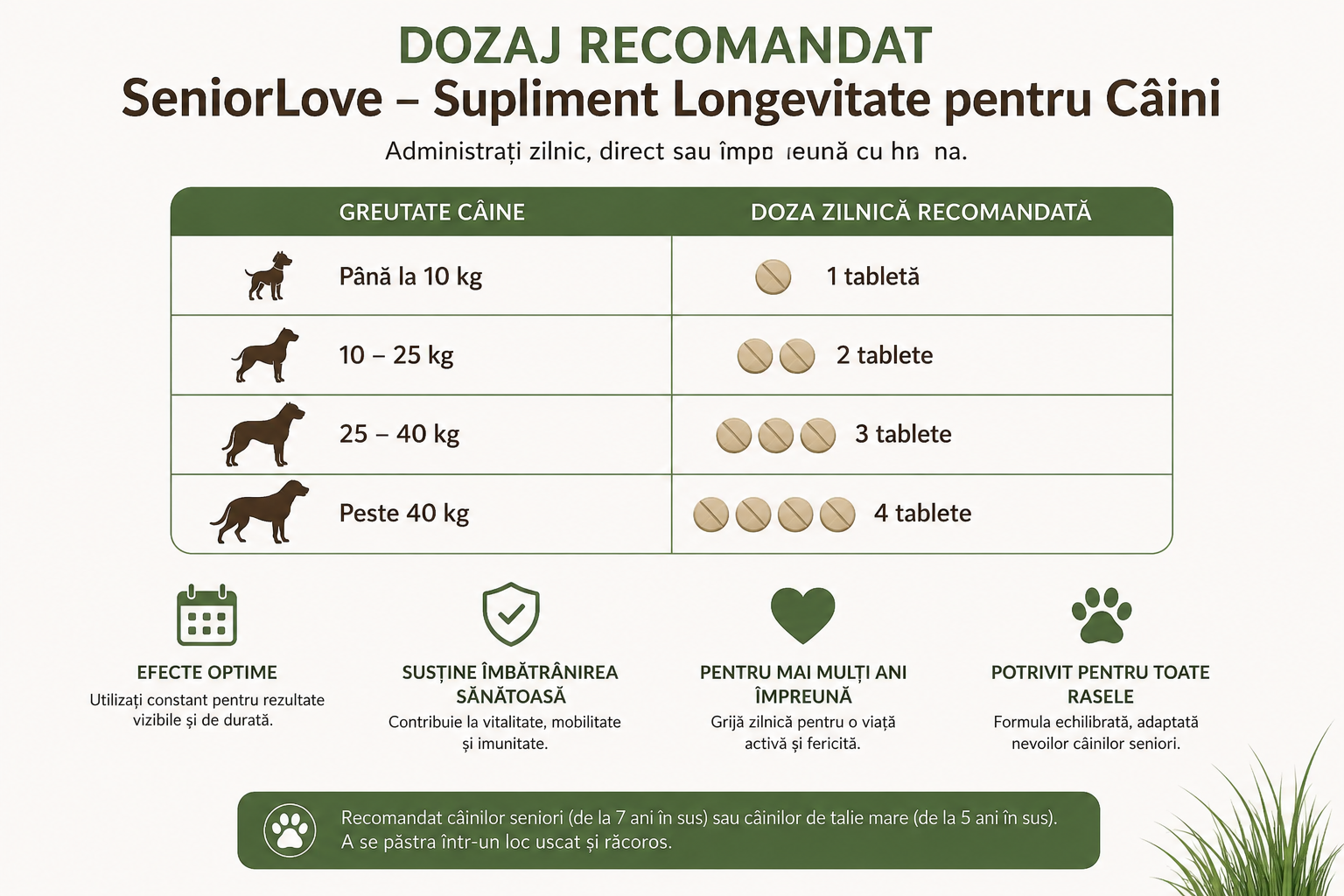 SeniorLove™ – Supliment Longevitate pentru Câini