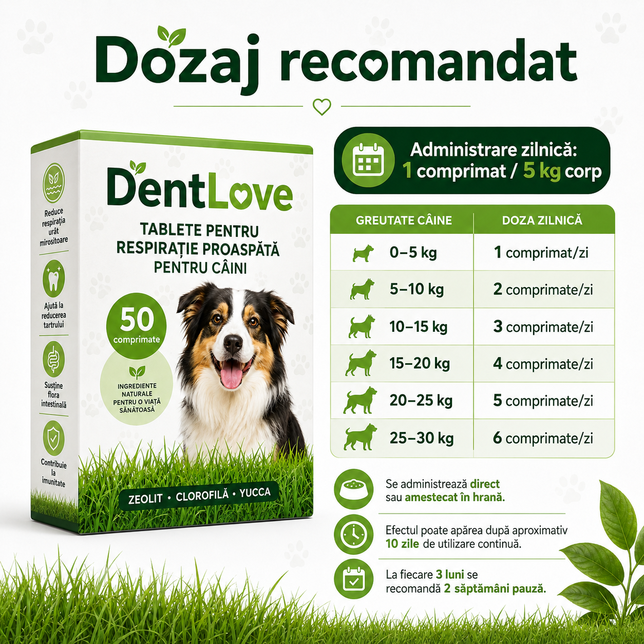 DentLove – 50 Tablete pentru Respirație Proaspătă și Tartru Câini