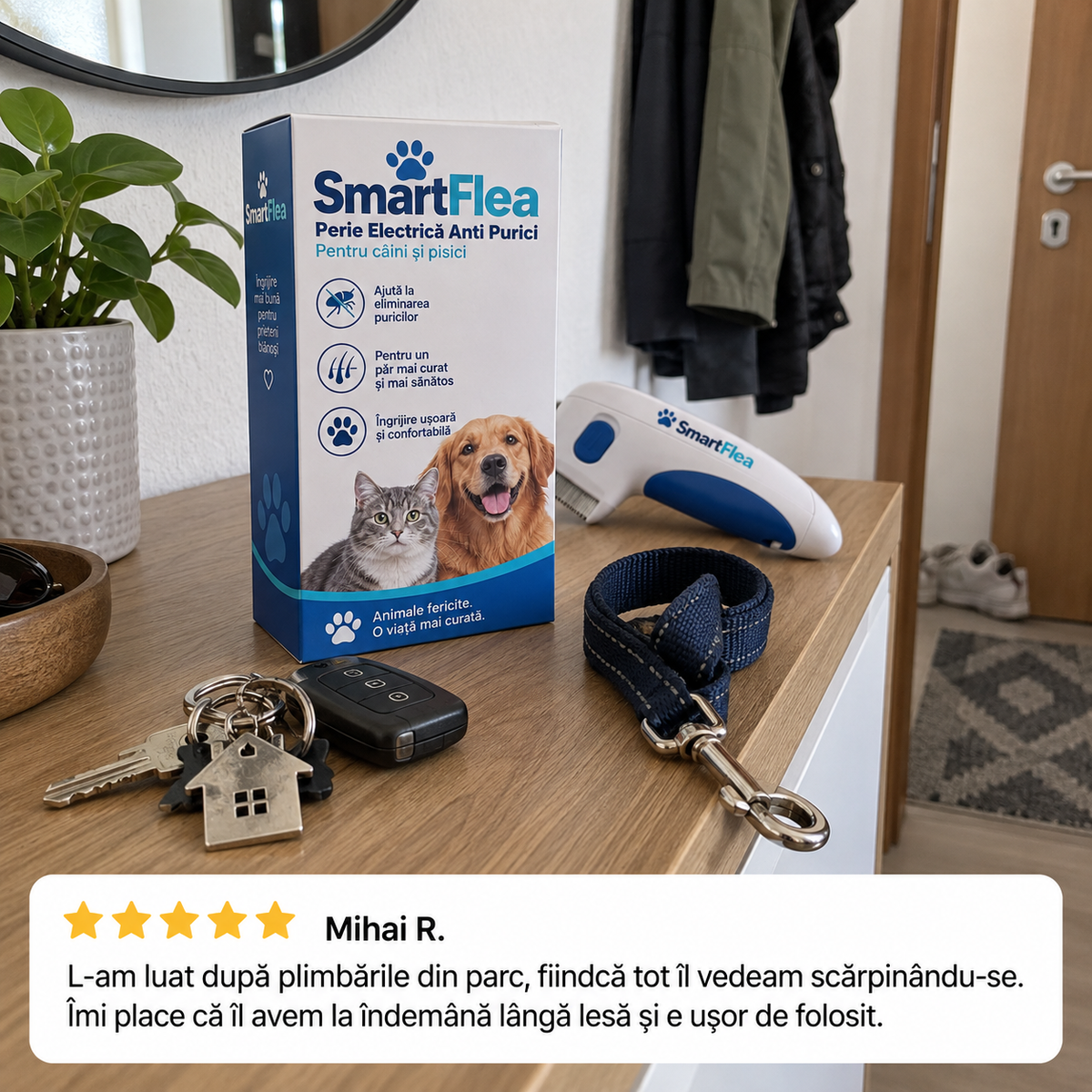 Recenzie SmartFlea acasă