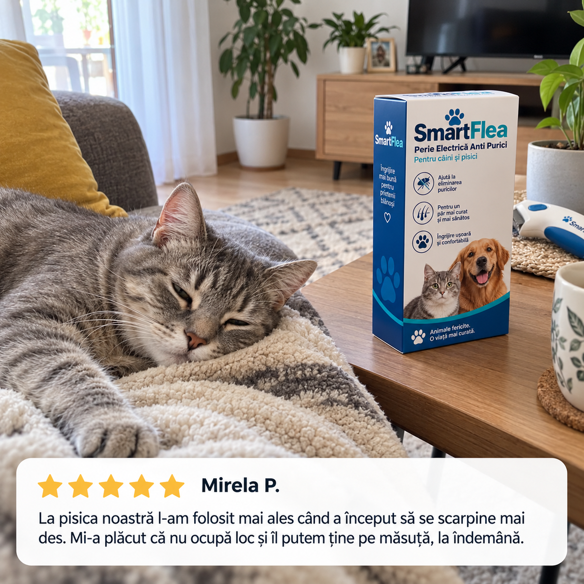 Recenzie SmartFlea pentru pisică