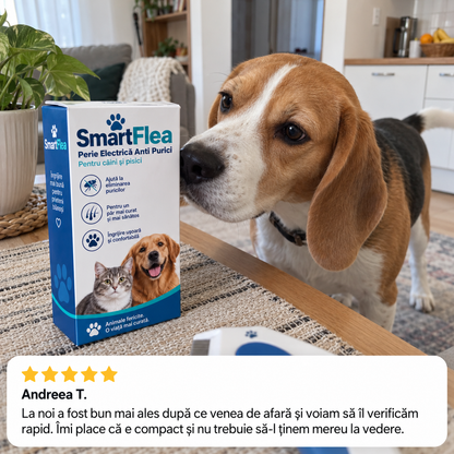 Recenzie SmartFlea cu beagle